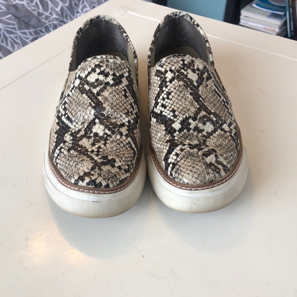 Steve Madden shoes